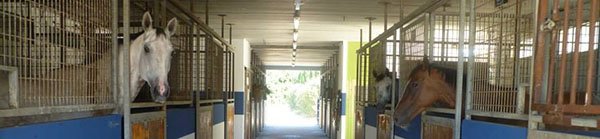 Ecurie de propriétaires Avignon