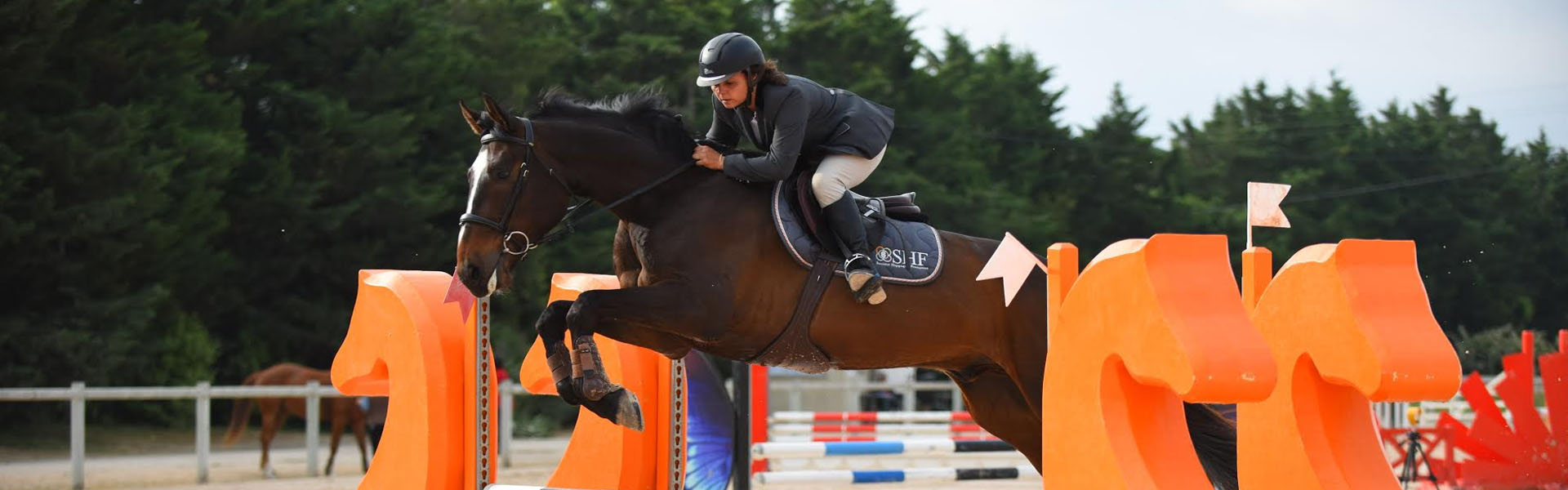 concours cso avignon