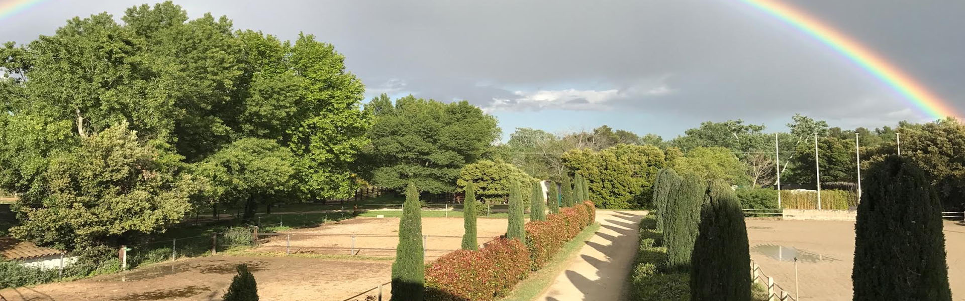 paddocks frigouye avignon