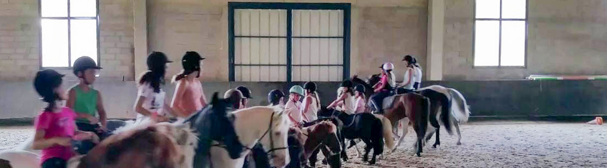 stage equitation hiver avignon