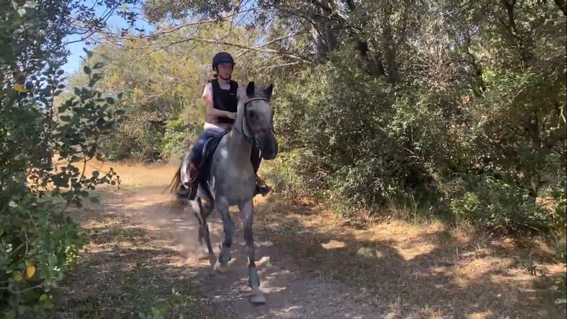 stage equitation frigouye été