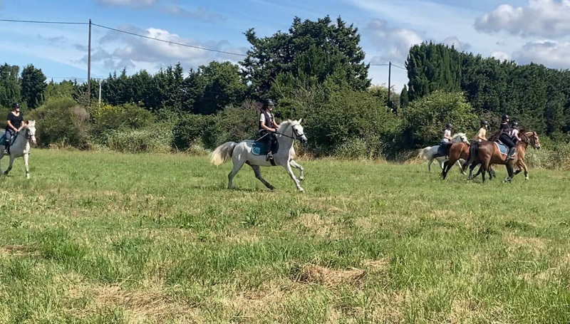 stage equitation frigouye été