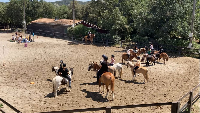 stage equitation frigouye été