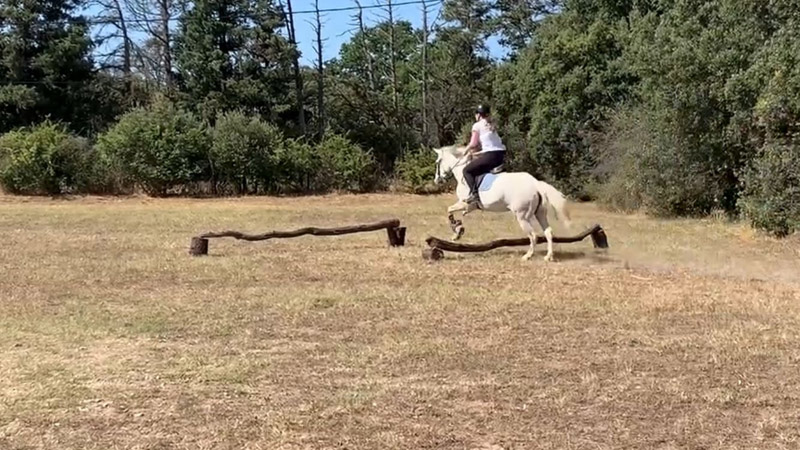 stage equitation frigouye été
