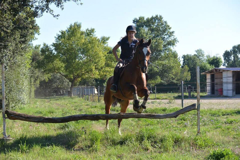 stage equitation frigouye été
