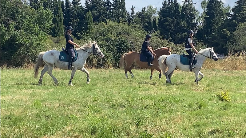 stage equitation frigouye été