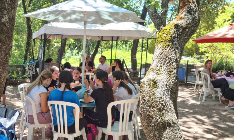 stage equitation frigouye été