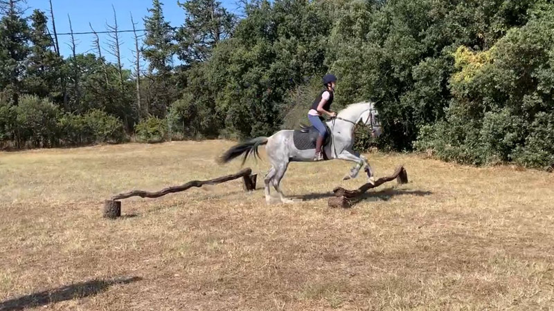 stage equitation été