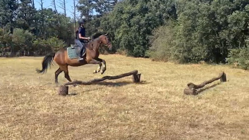 stage equitation frigouye 