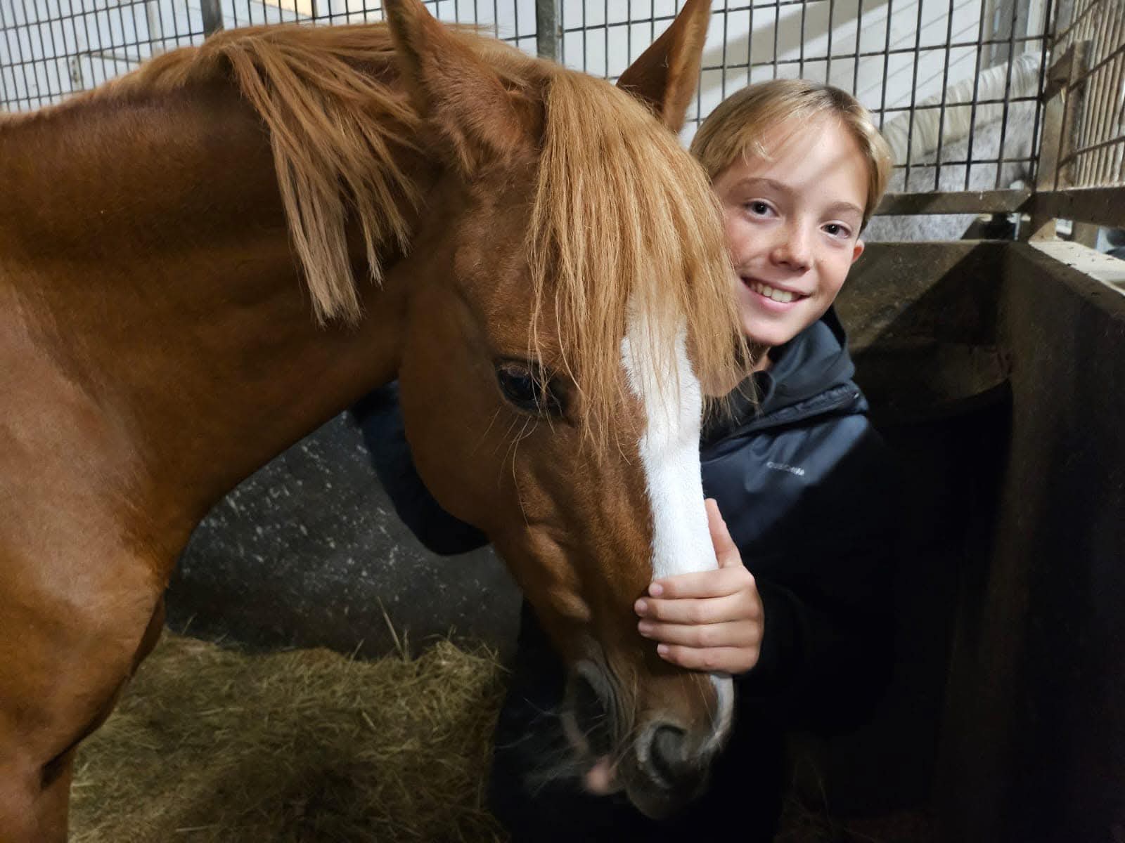 Les propriétaires - Lucas & Faron