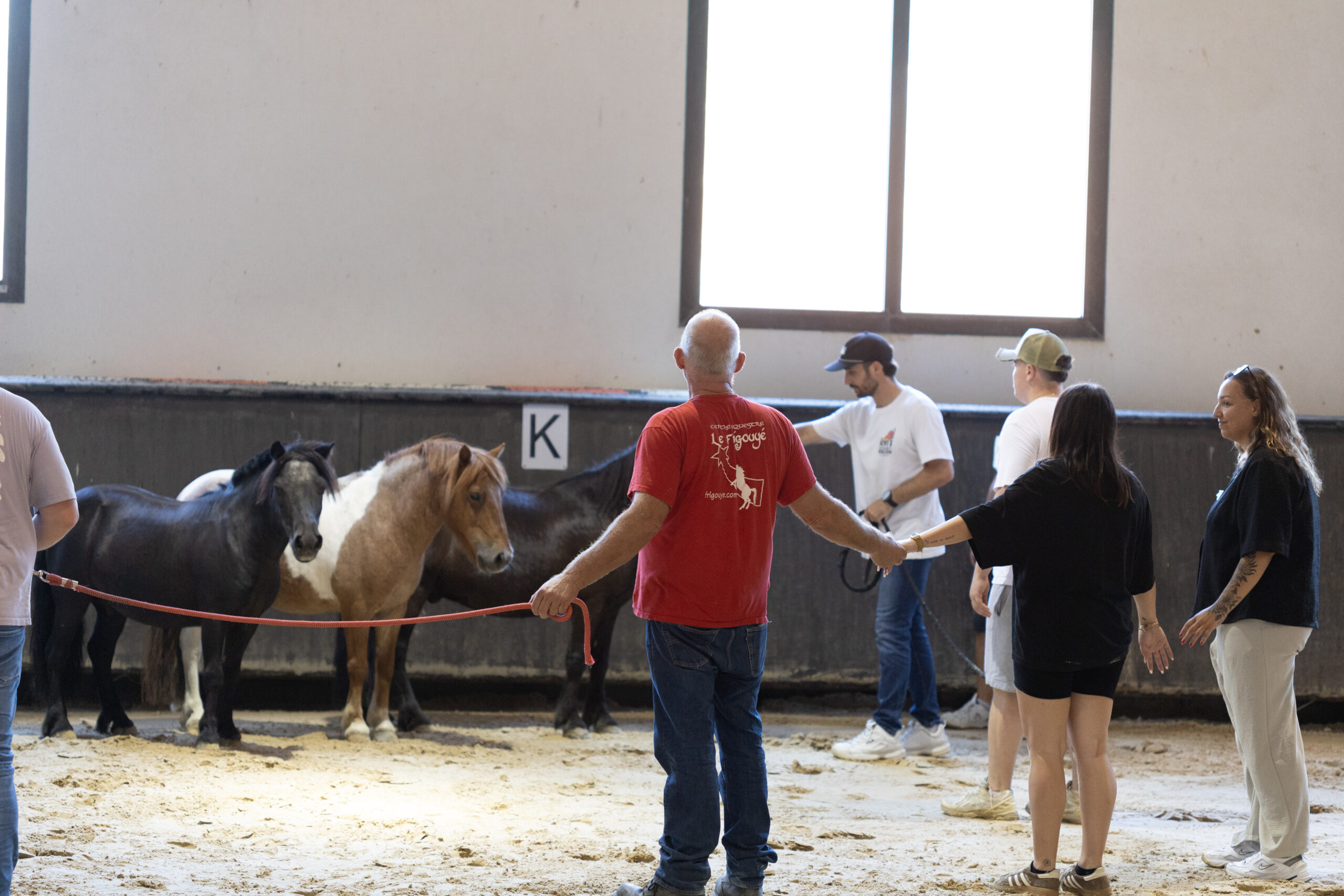 Séance d’équicoaching avec un cheval au Frigouyé à Saze